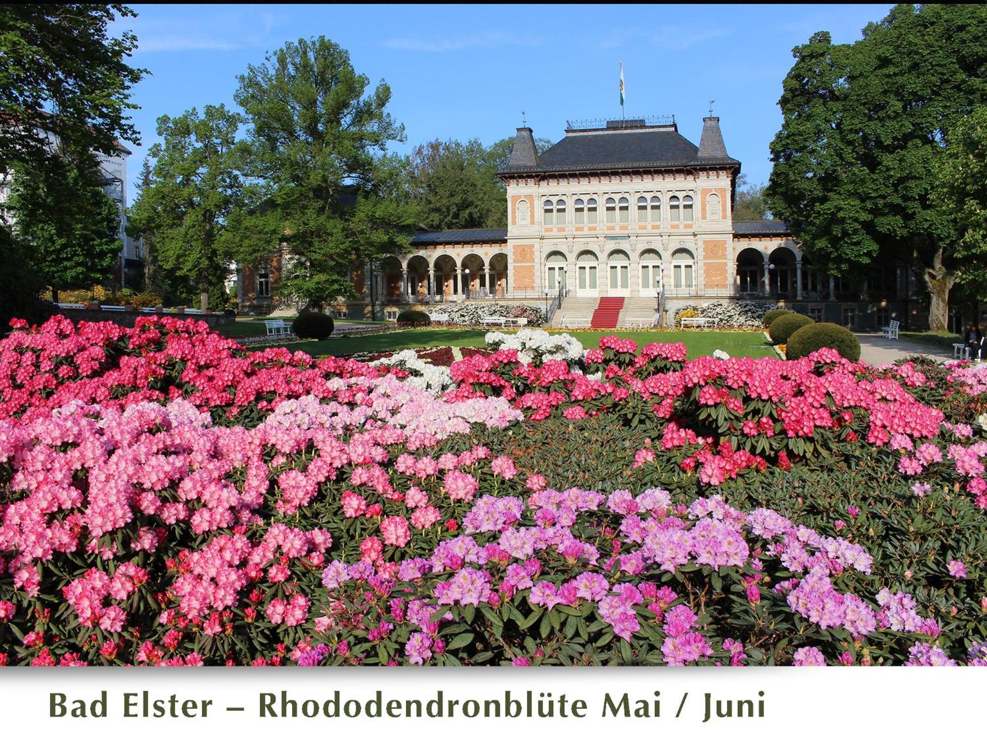 Ferienwohnung Belasarte Bad Elster Exterior foto